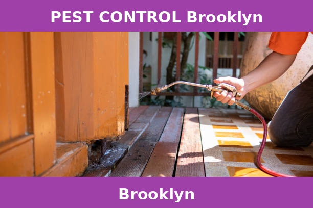 PEST CONTROL Brooklyn